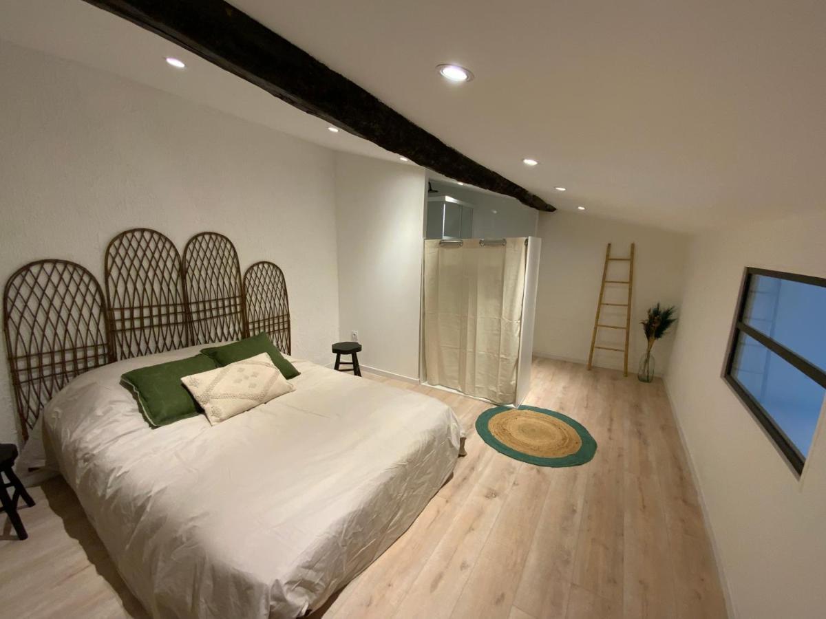 Tres Bel Appartement Refait A Neuf Perpignan Eksteriør bilde